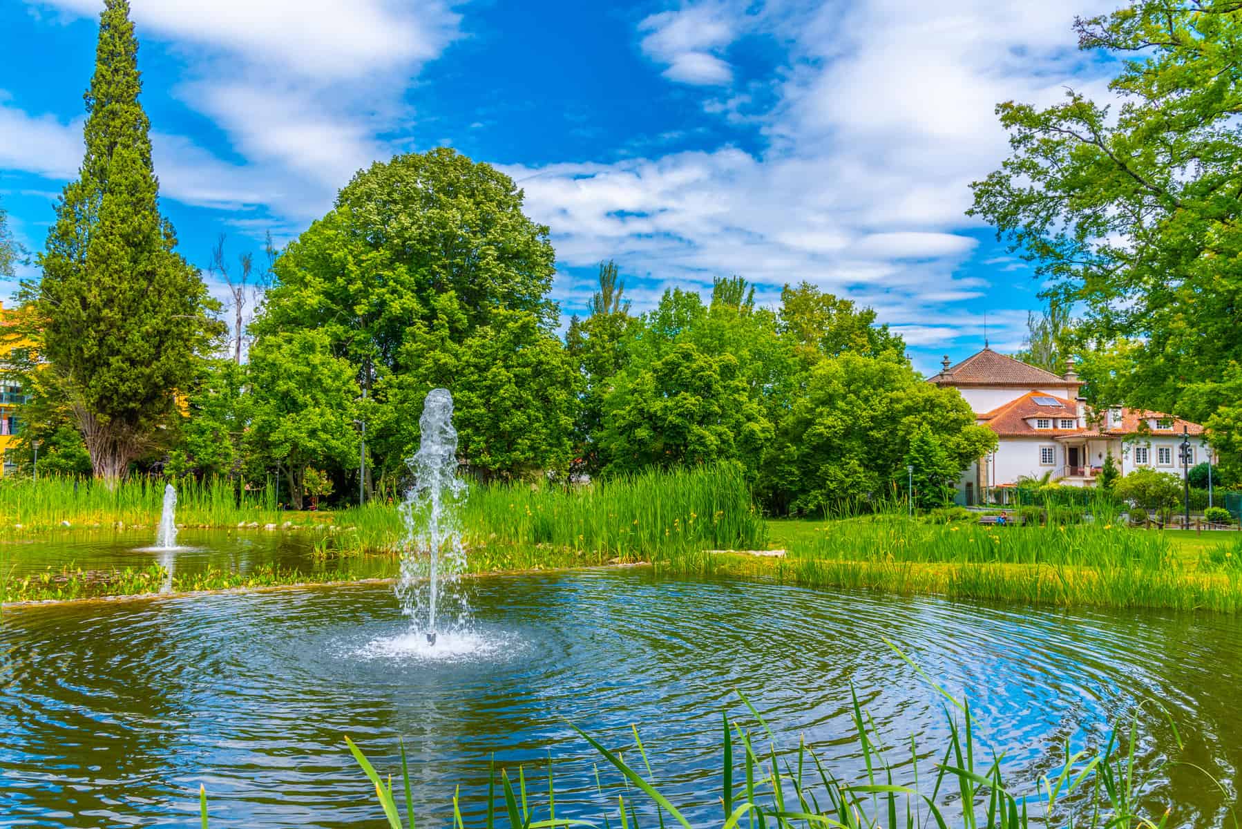 Pond at Aquilino Ribeiro park in Viseu, Portugal