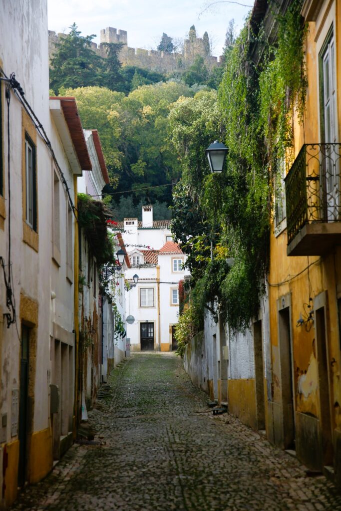 Tomar-portugal-narrow-street
