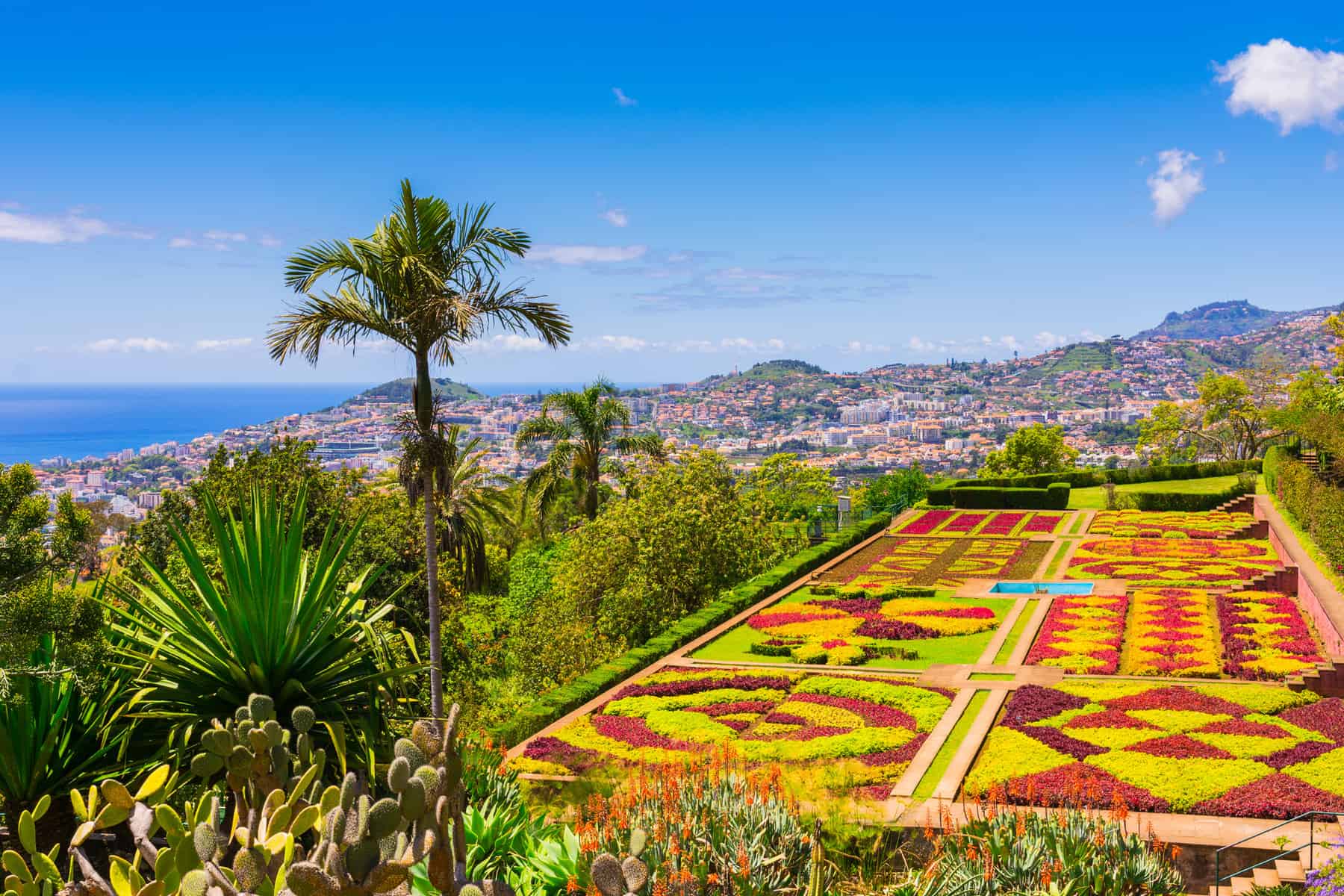 Madeira - Portugal - Funchal - butanical gardens