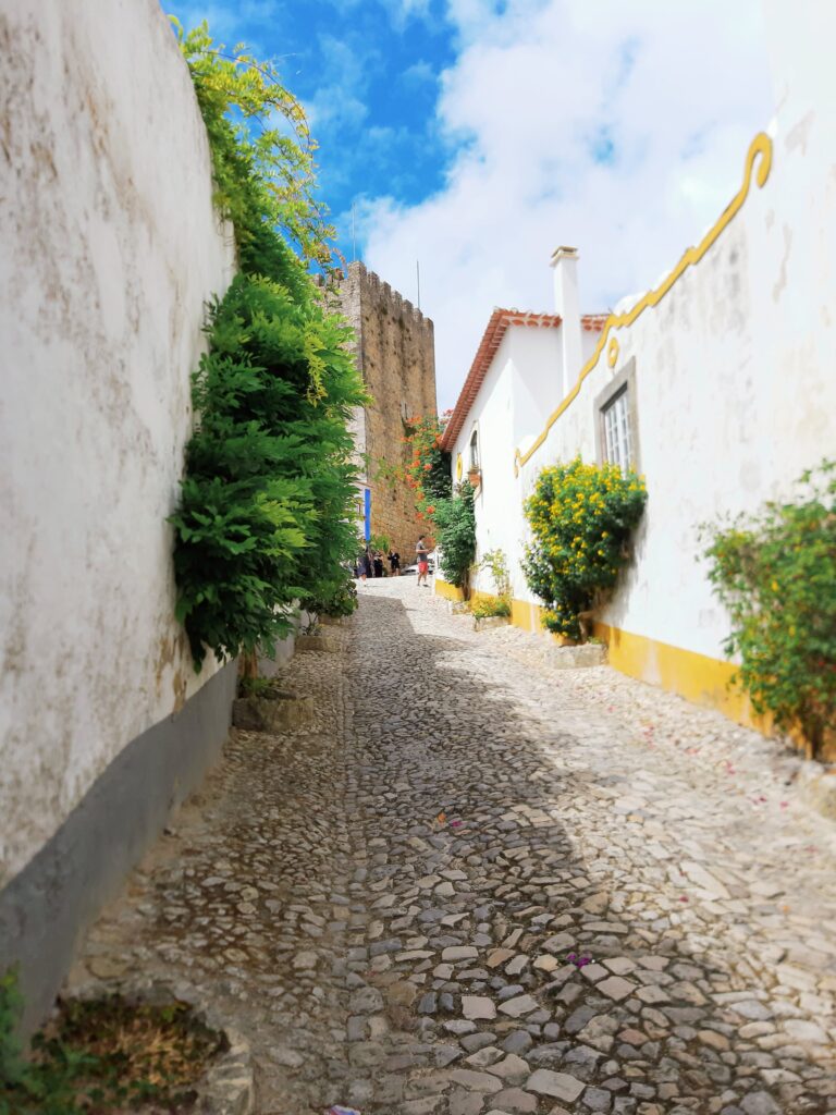 Obidos-Portugal-Street