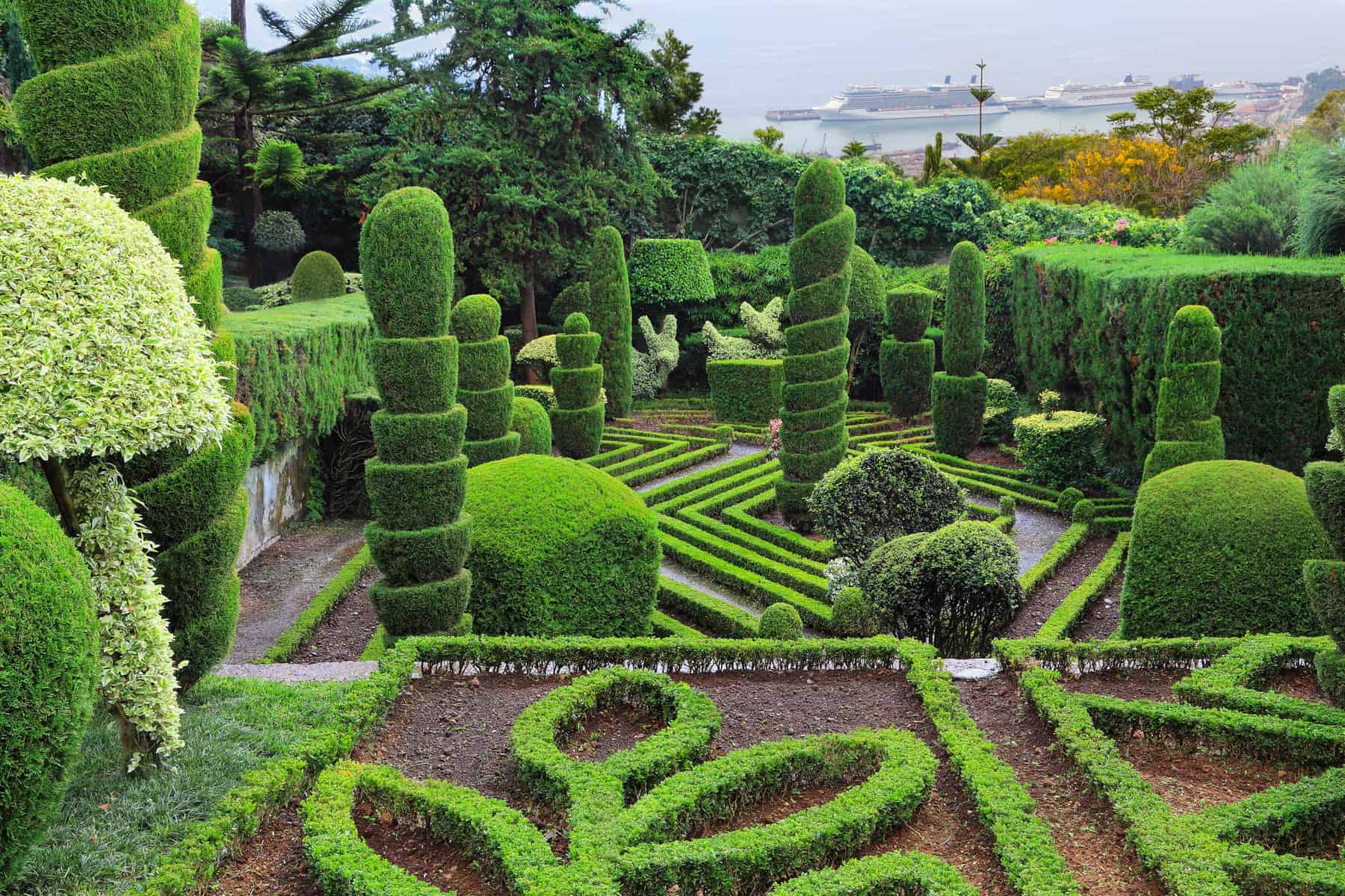 Madeira - Portugal - Funchal - botanical gardens GREEN