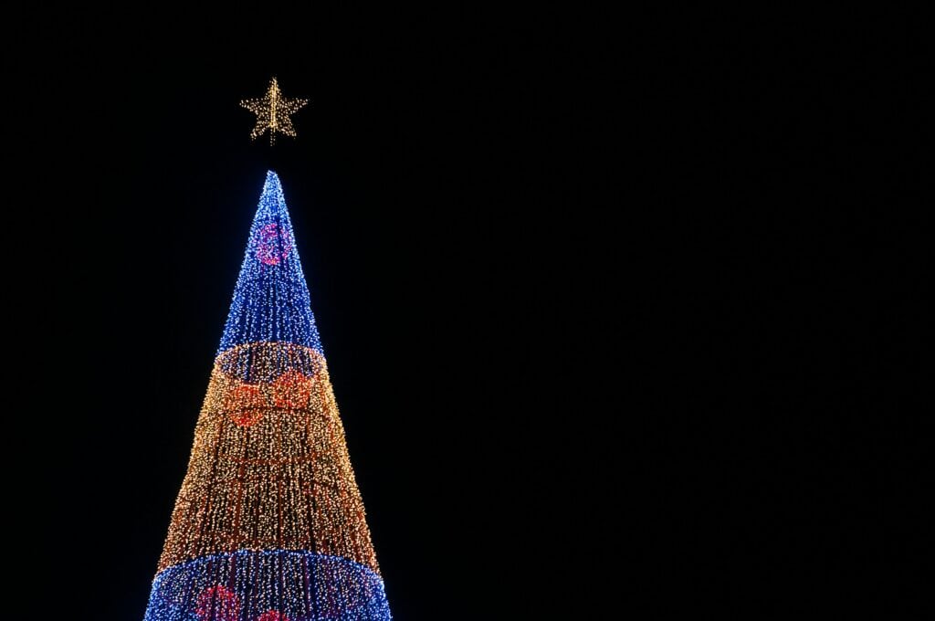 Madeira - Portugal - Funchal - christmas tree