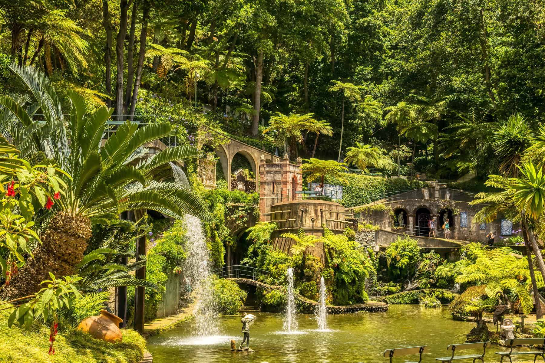 Madeira - Portugal - Funchal - tropical gardens