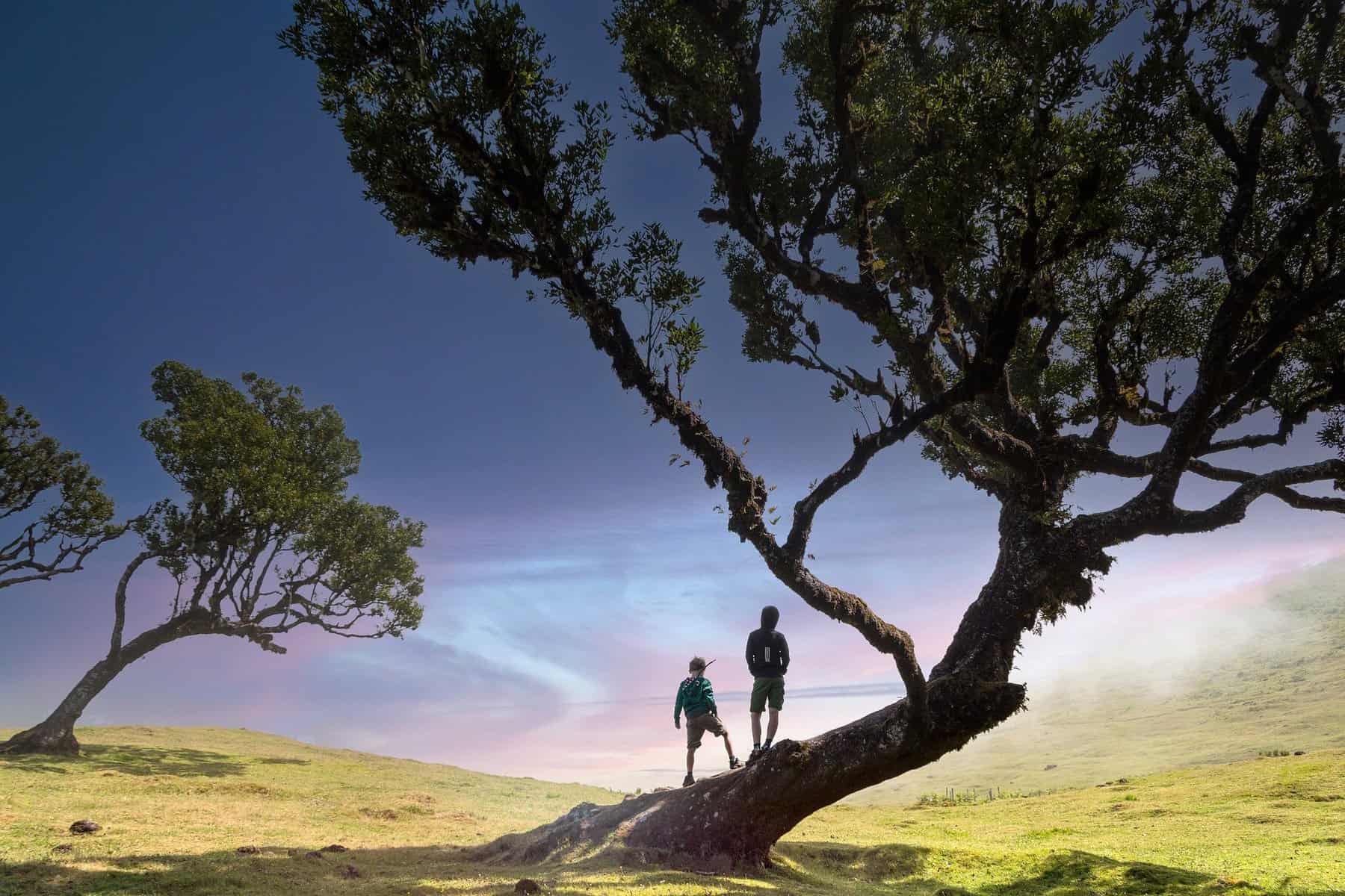 Madeira - Portugal - Kids in Fanal Forest
