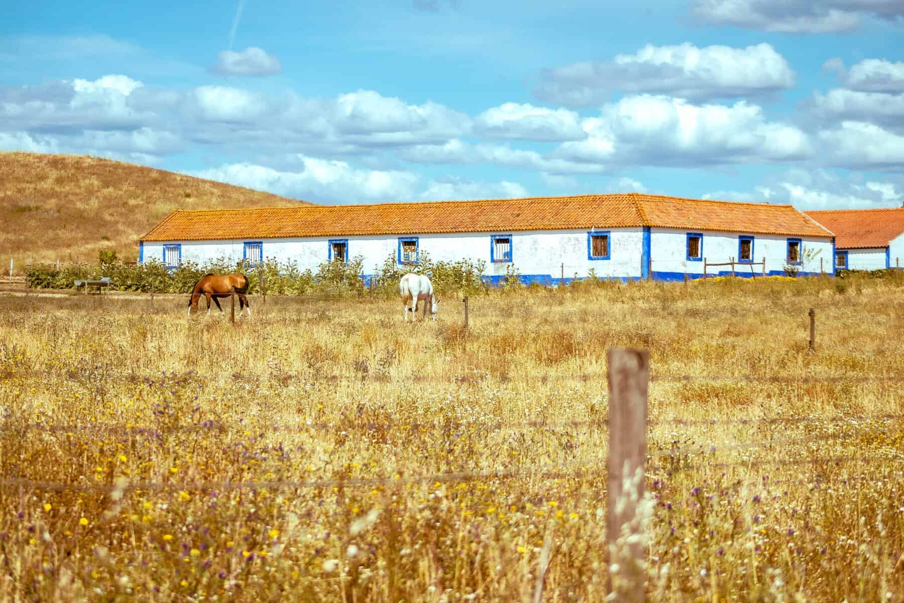 Alentejo-Portugal-Landscape