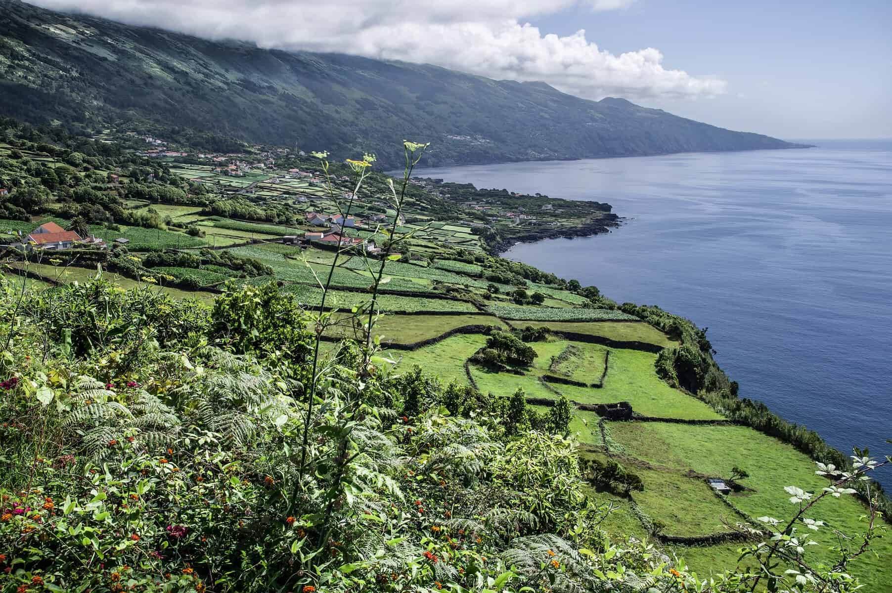 Pico - Azores - Portugal - island view