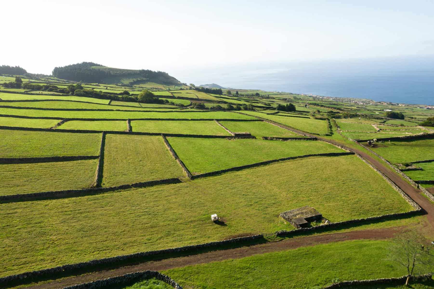 Azores-Terciera-Fields-circled-with-stone-walls
