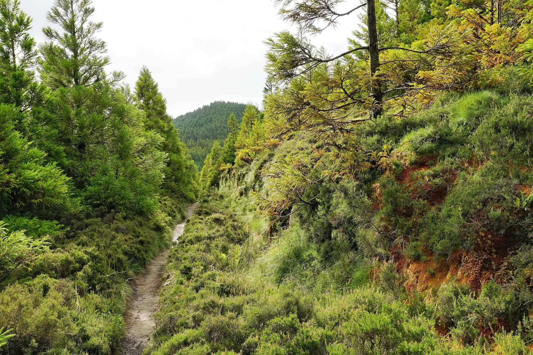 Azores-Terciera-Hike-Mistérios-Negros
