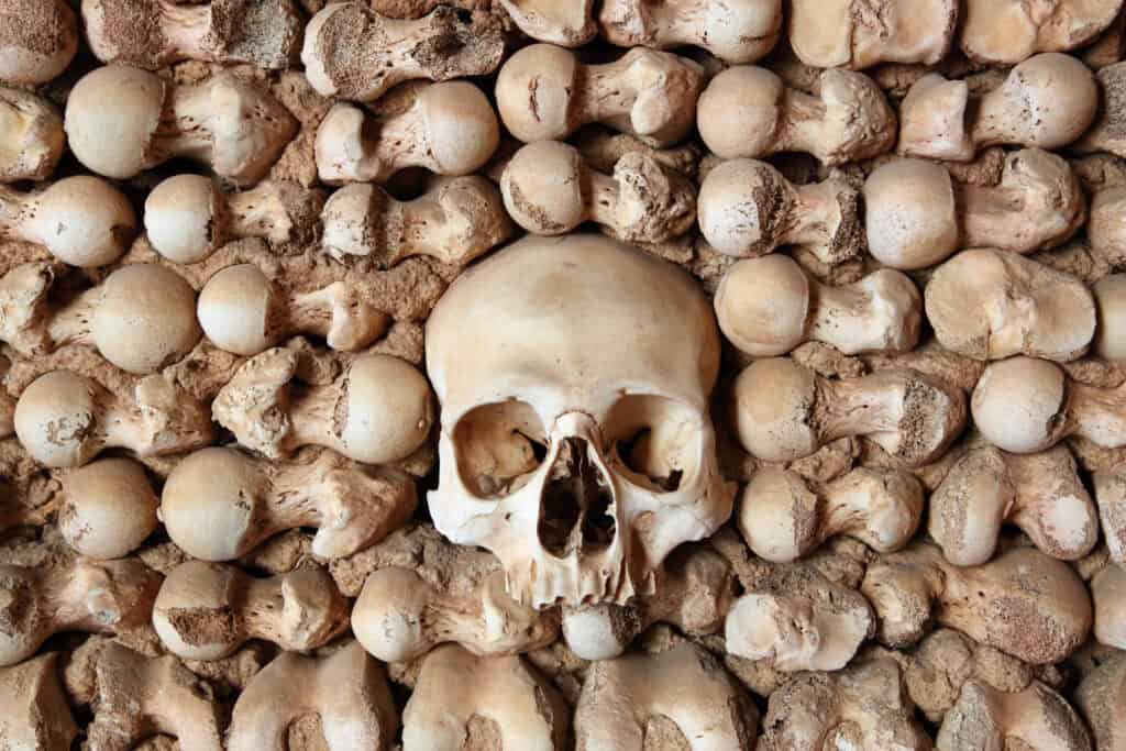 Wall-of-human-bones-in-a-chapel-in-Faro-Portugal
