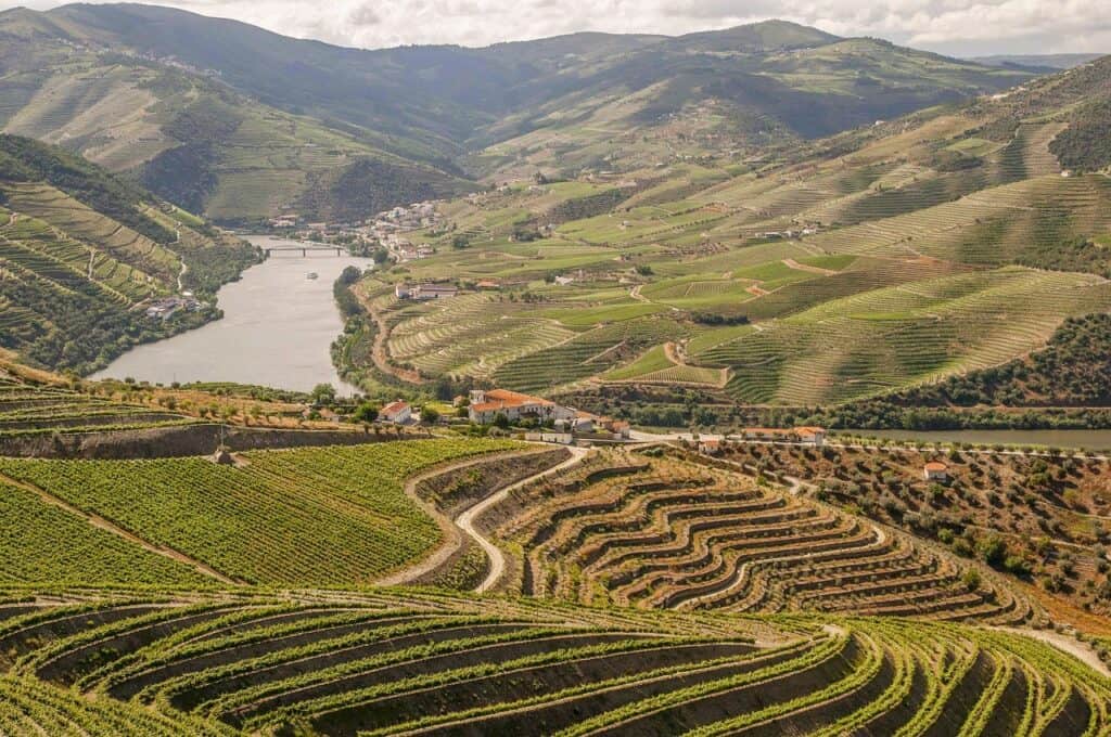 Douro-Valley-Portugal-HILLS-VINES