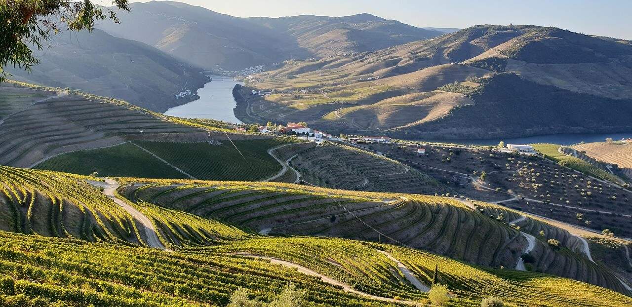 Douro-Valley-Portugal-TERRACES