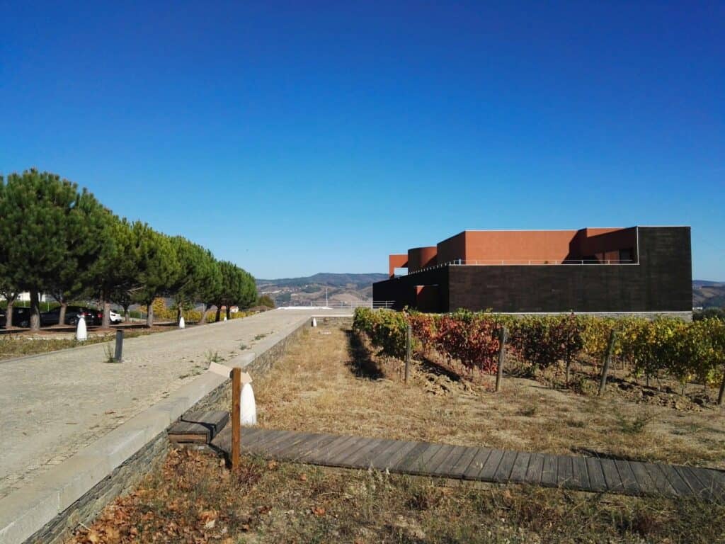 Douro-Valley-Portugal-Celeirós,-QUINTA