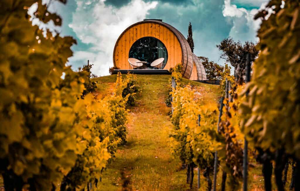 Douro-Valley-Portugal-The-Wine-House-Hotel-e-Spa-Quinta-da-Pacheca